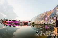 160723_Sinsheim-134